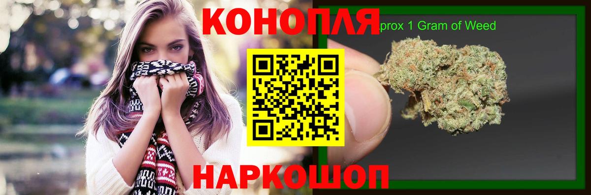 Канабис OG Kush Кызыл
